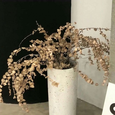 万山FurryQQ群介绍